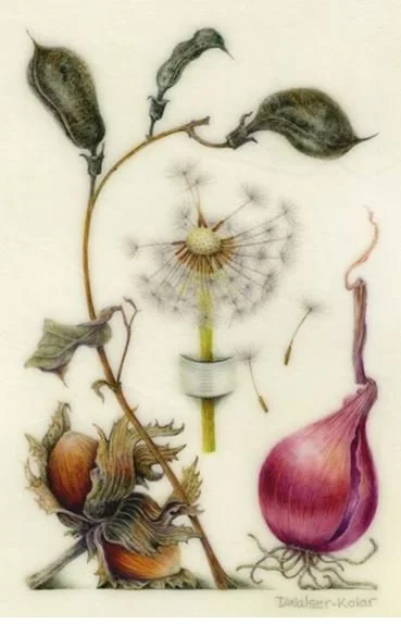 Hoefnagel Inspired #42