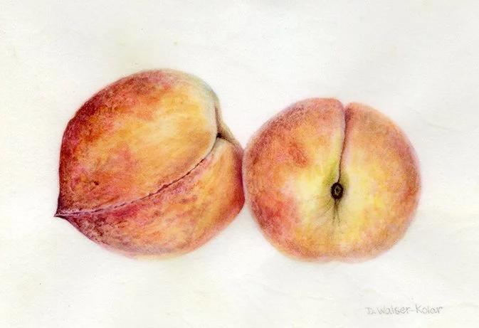 Peaches - sold