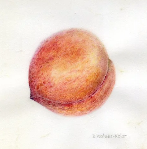 Single Peach - sold