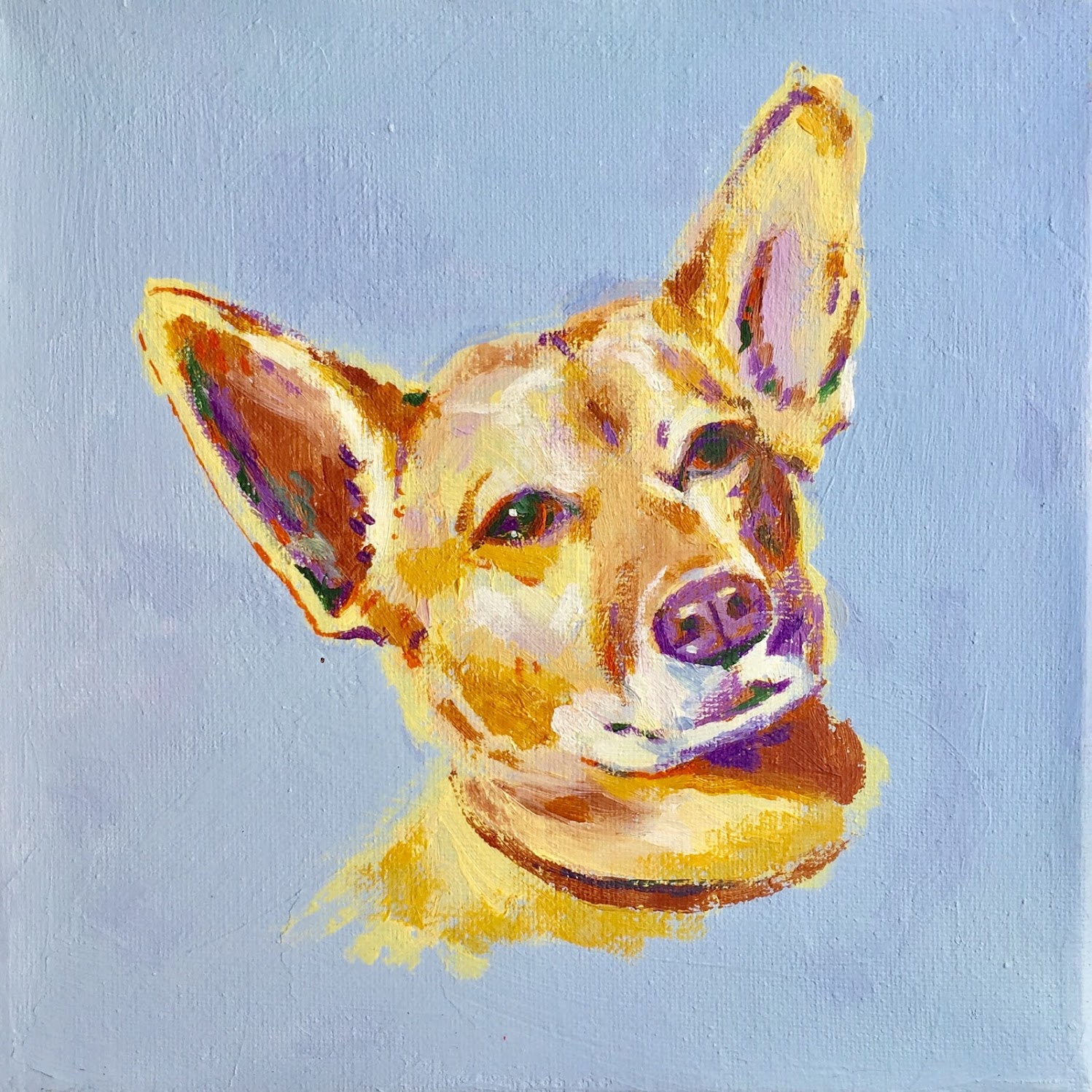  7x7 - 11x11 Order one like this! 