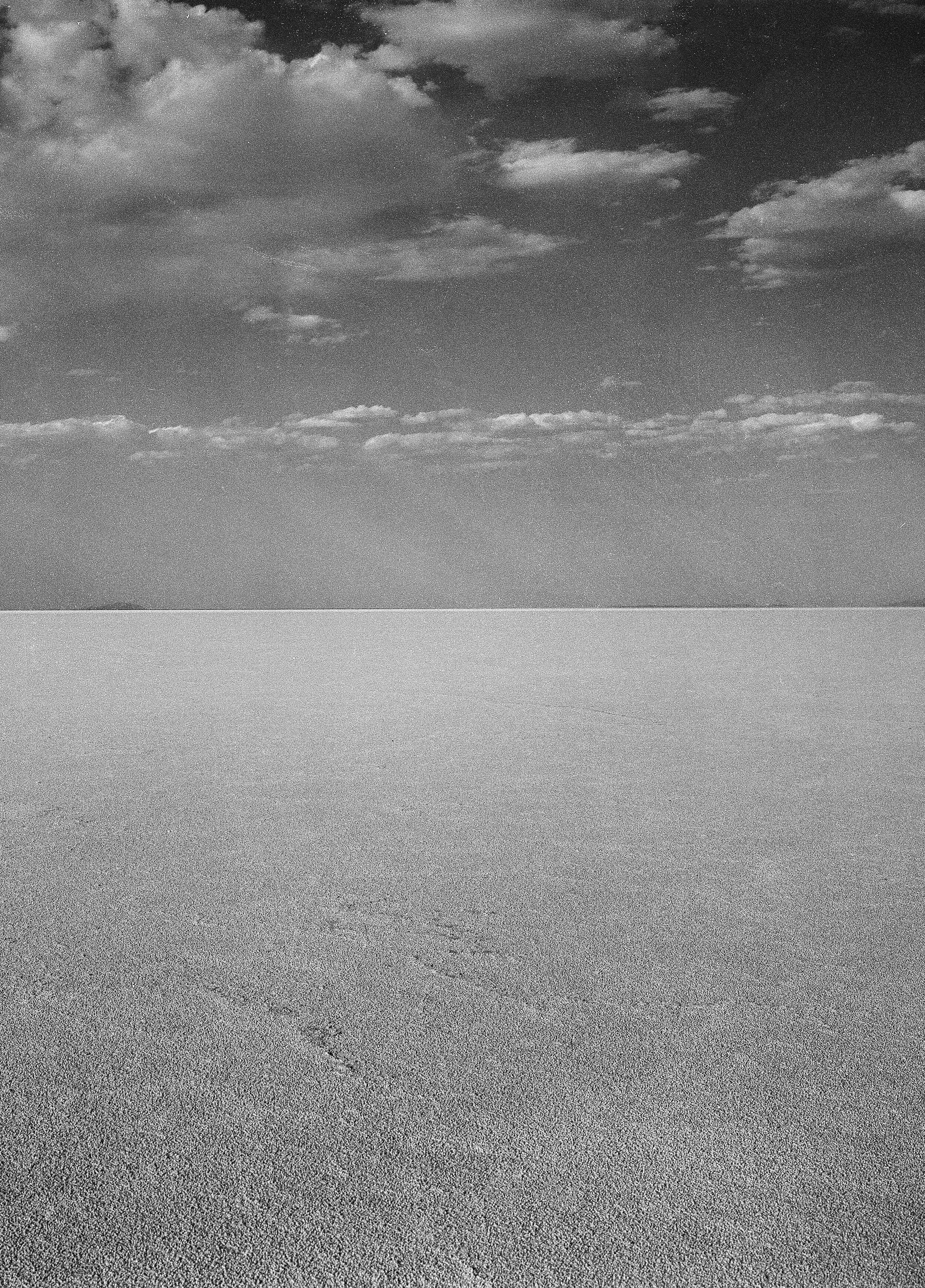 bonneville20x28.jpg