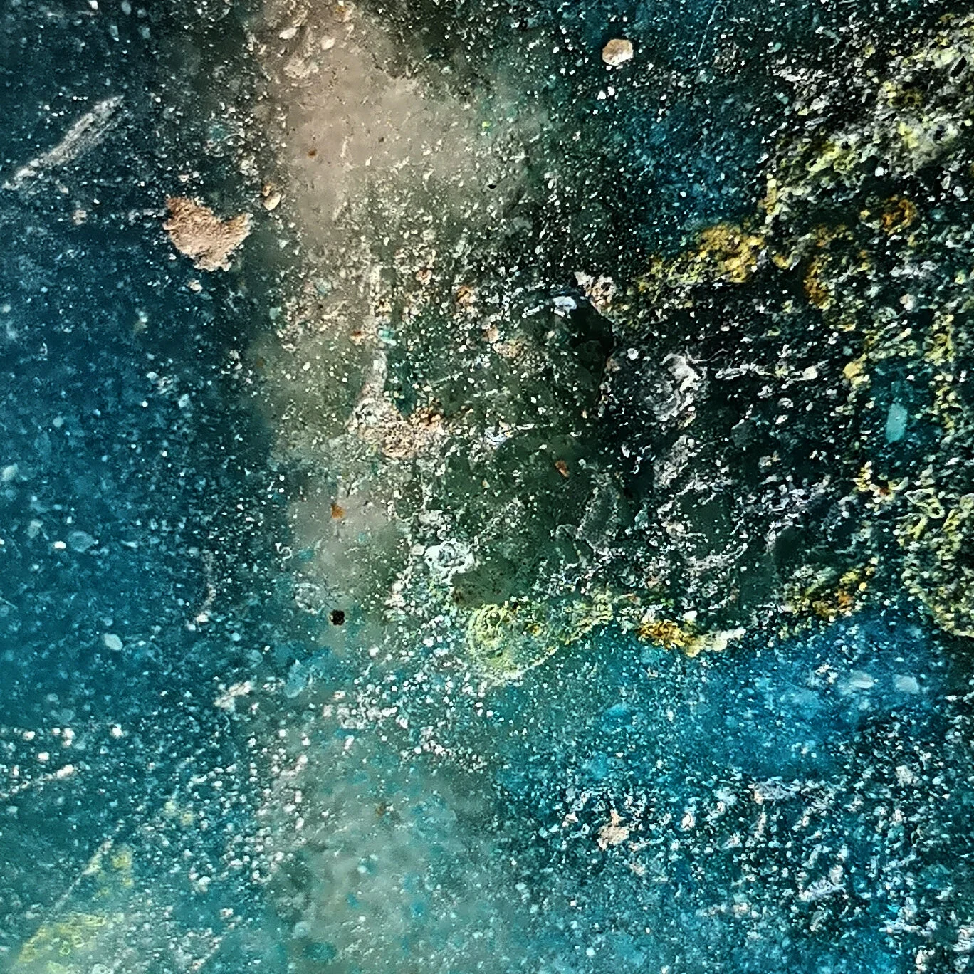 3crop12x12.jpg