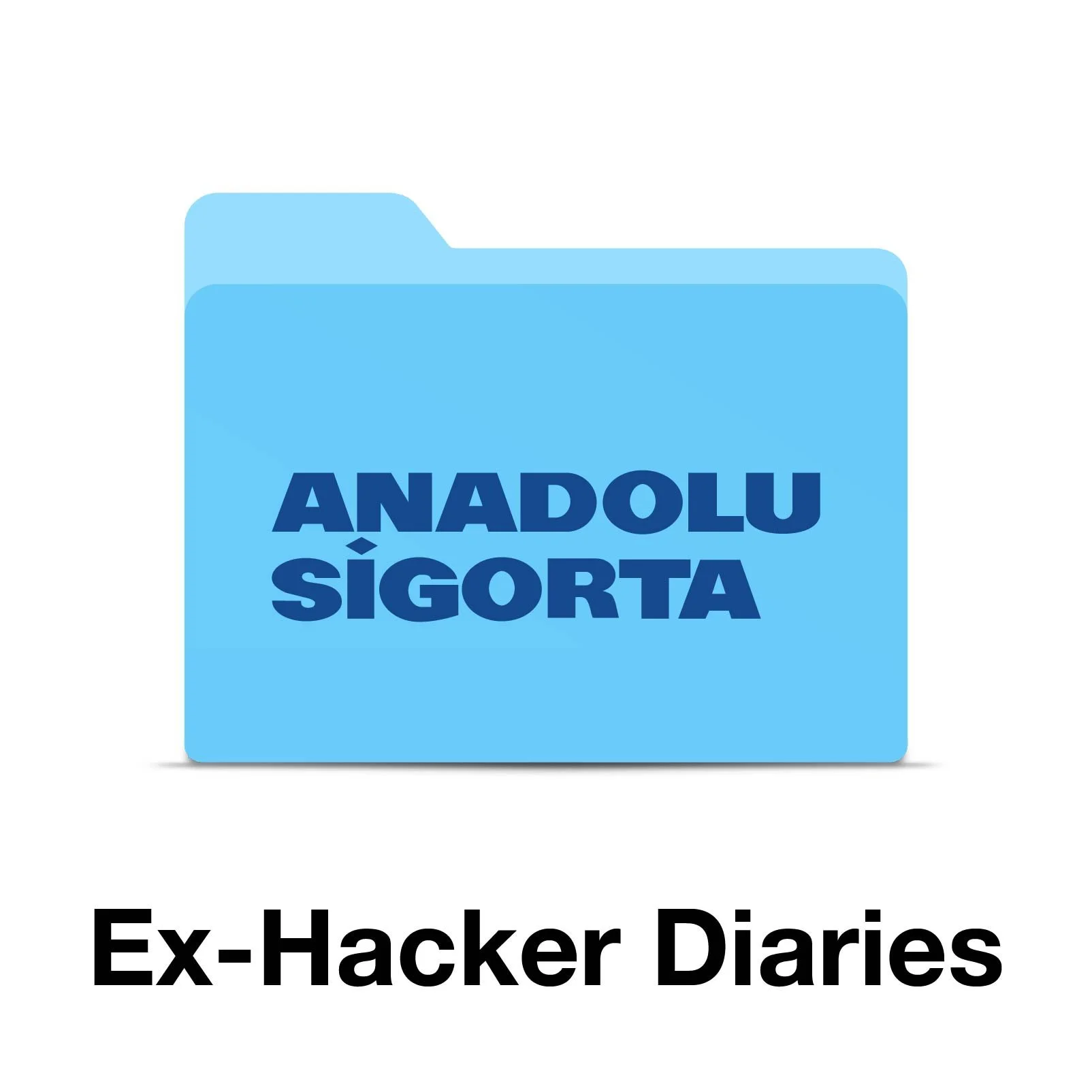 Anadolu Sigorta Ex-Hacker Diaries // Content Series