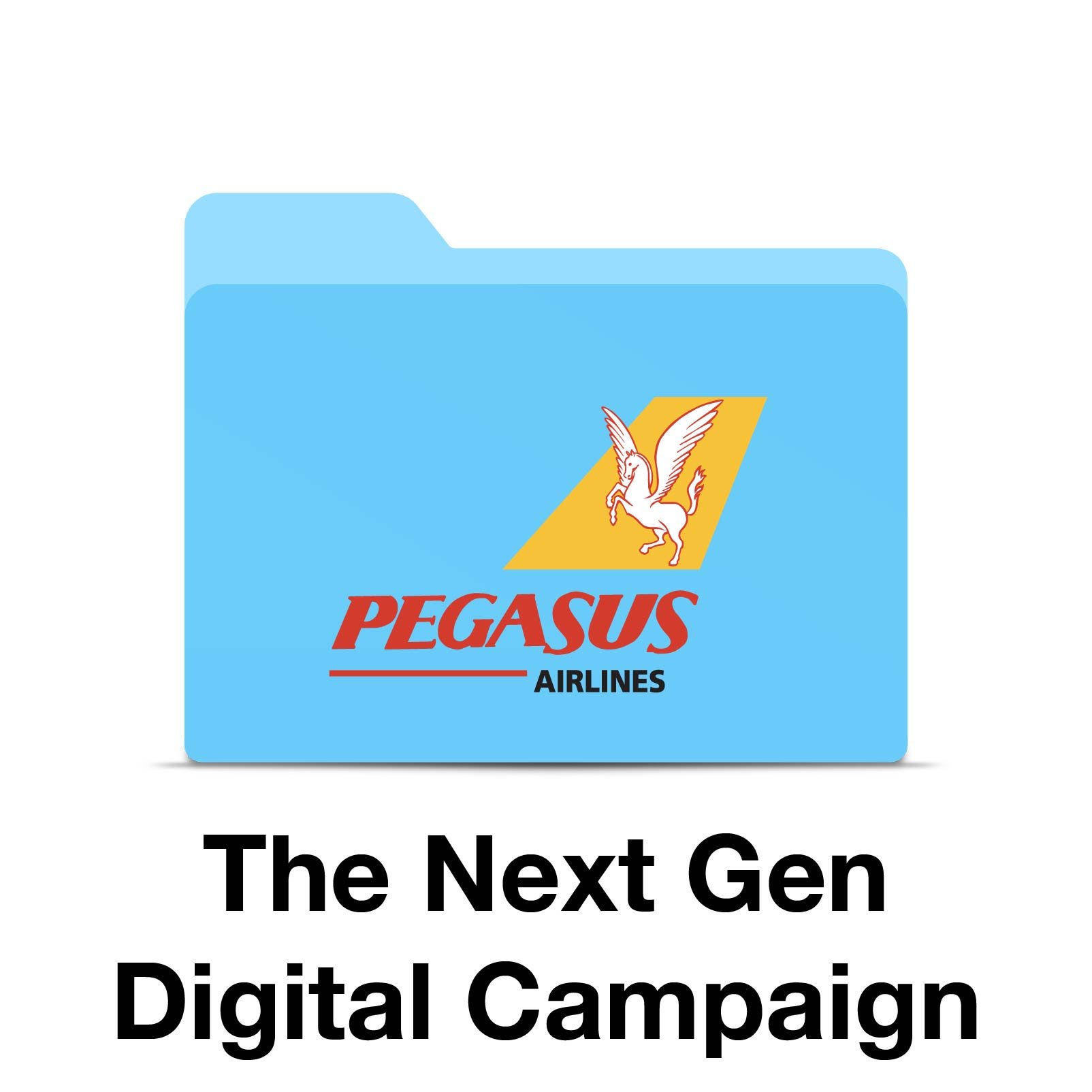 Pegasus Next Gen Digital Campaign