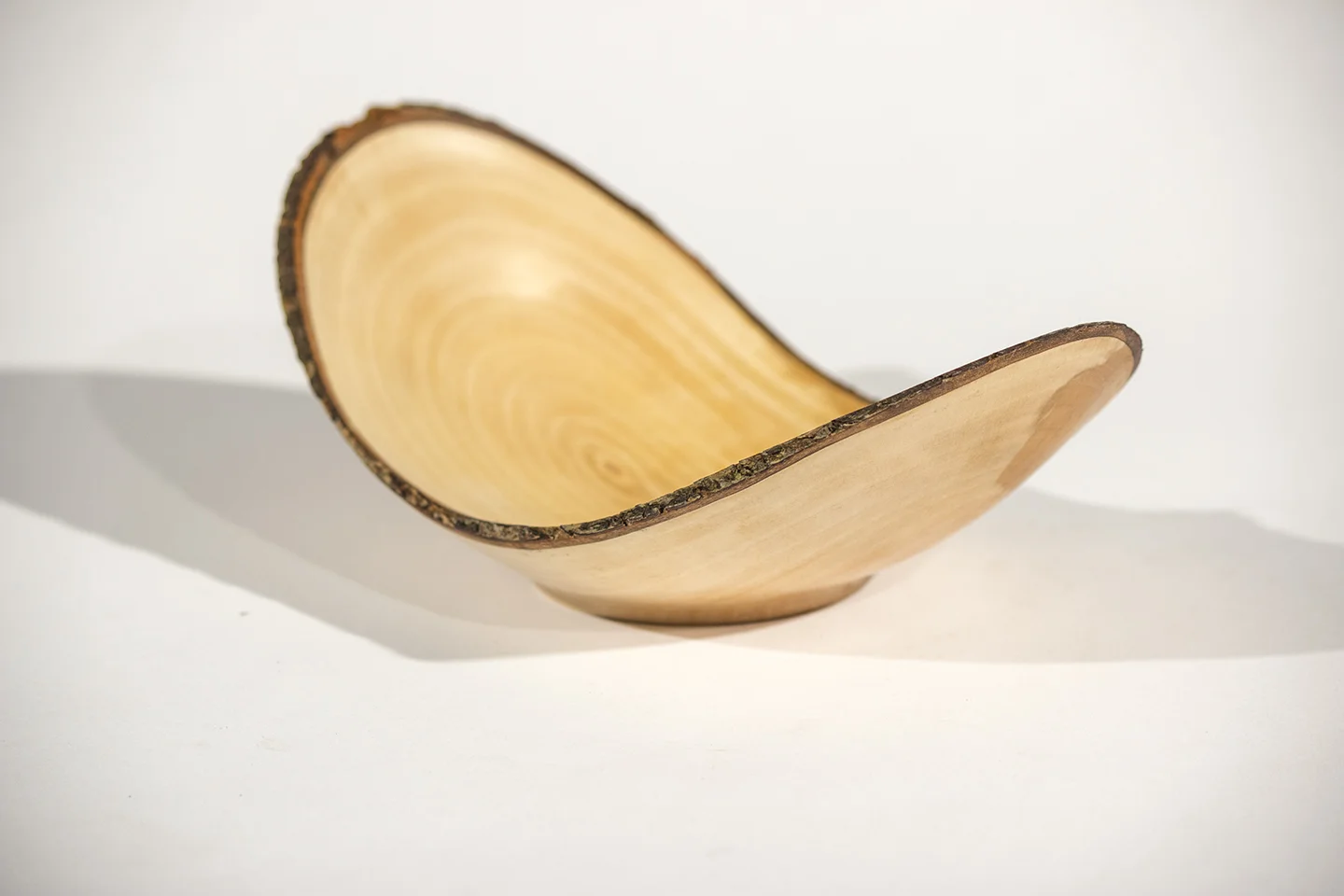 Bradford Pear #1