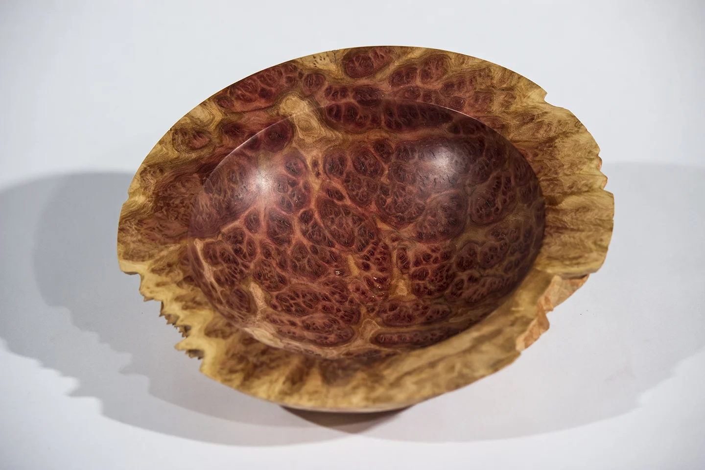Red Mallee Burl #4