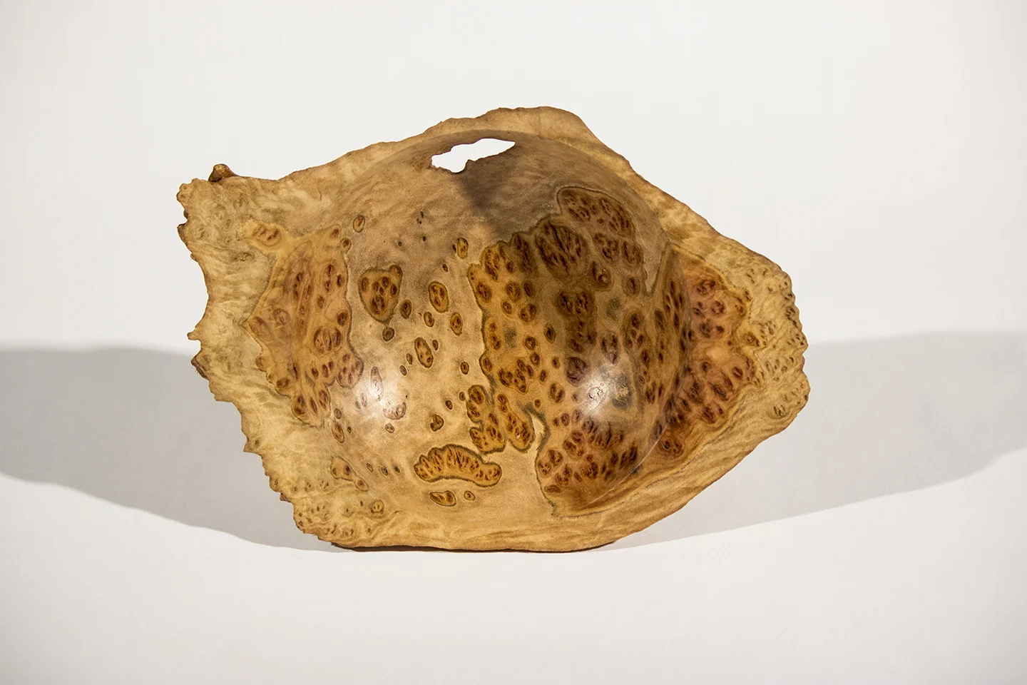 Yellow Box Burl