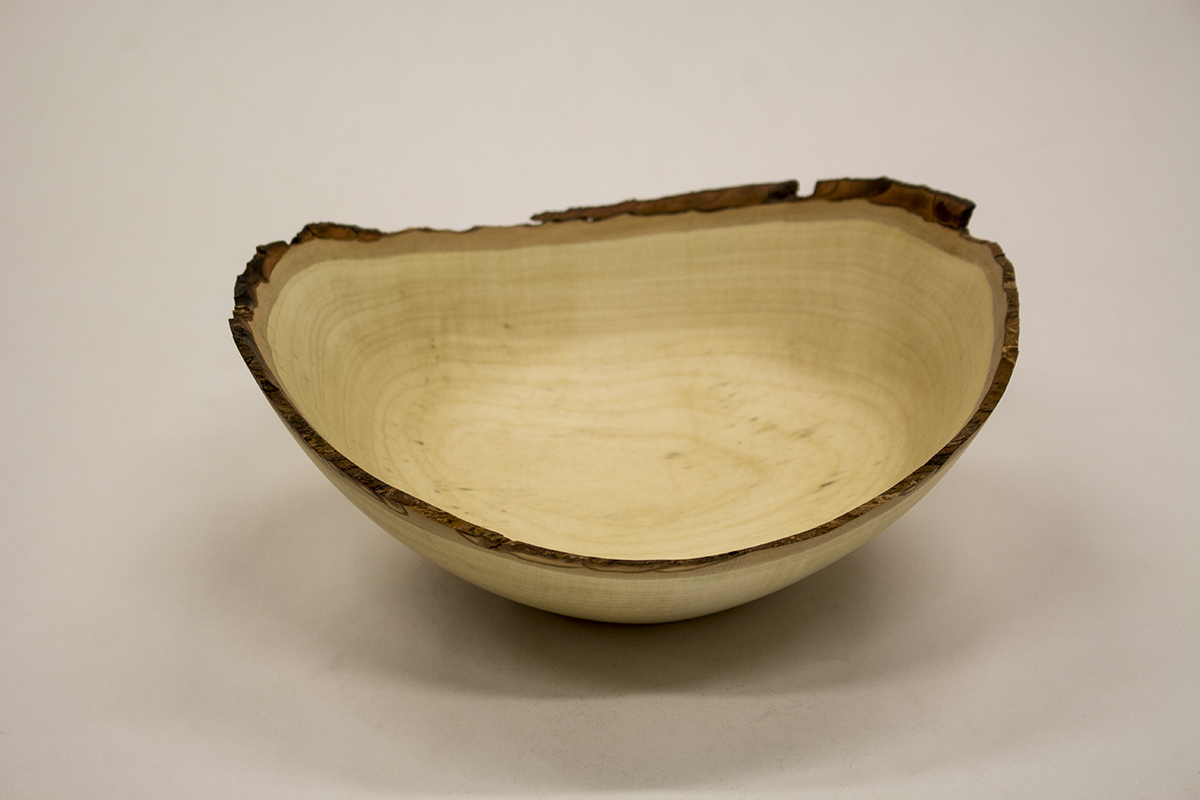 0537 Silver Maple