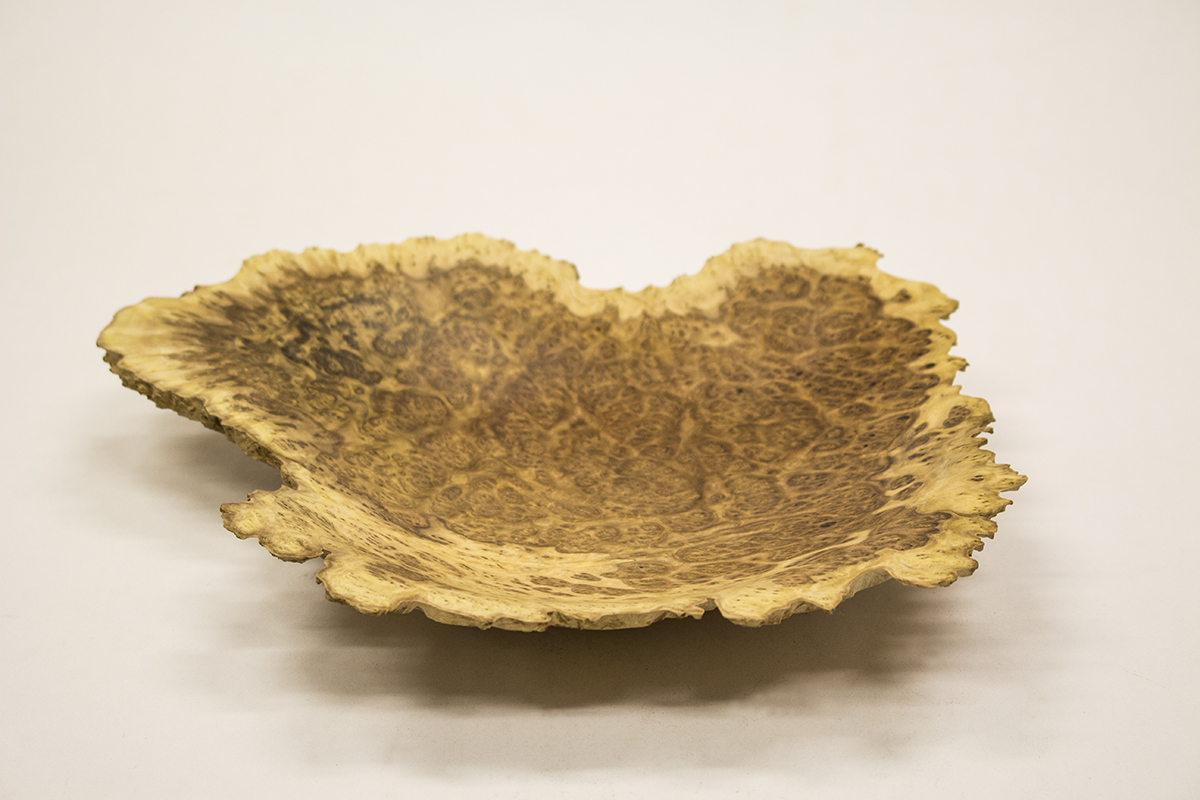 0543 Brown Mallee