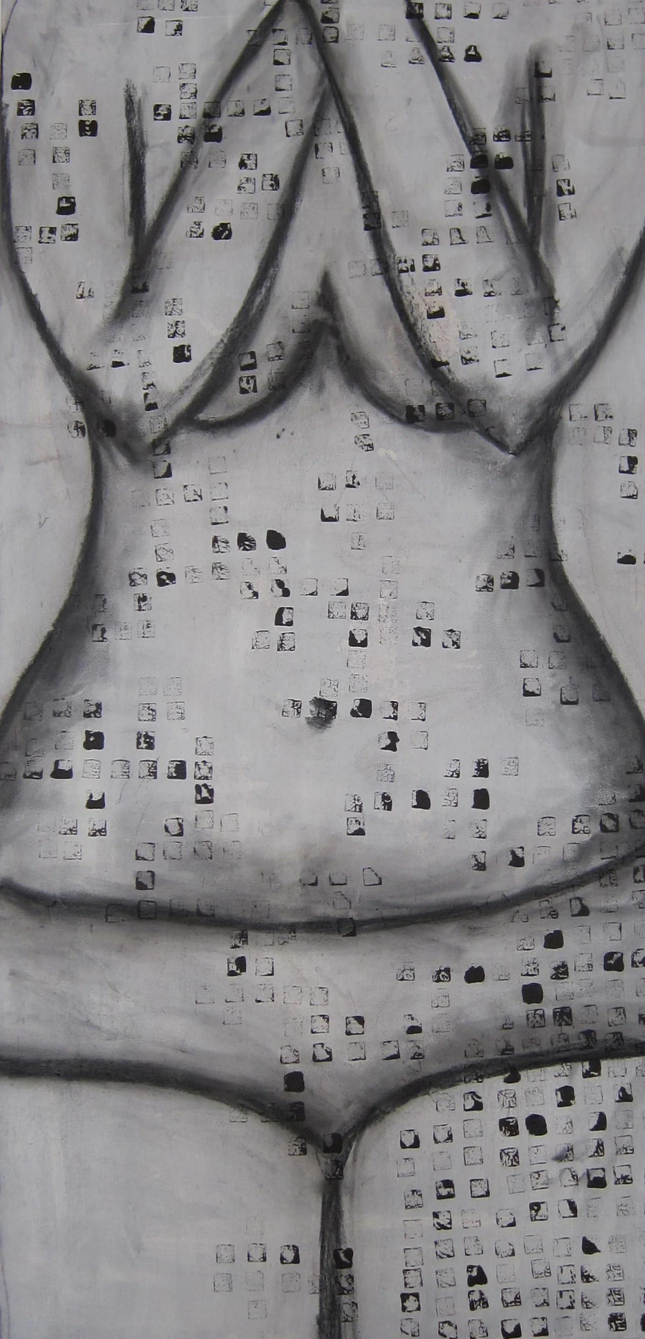 coy 2011.jpg