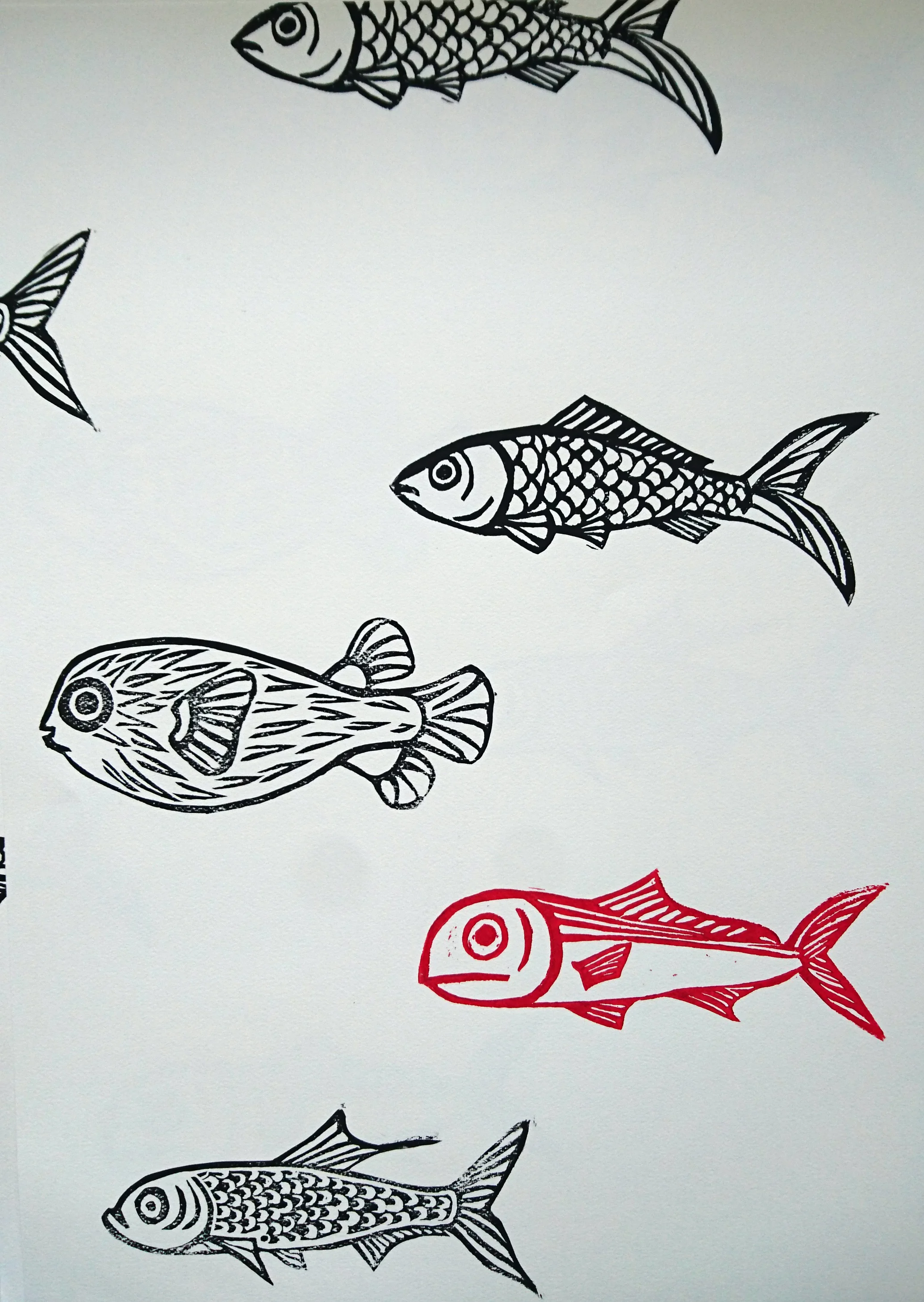 fish2.jpg