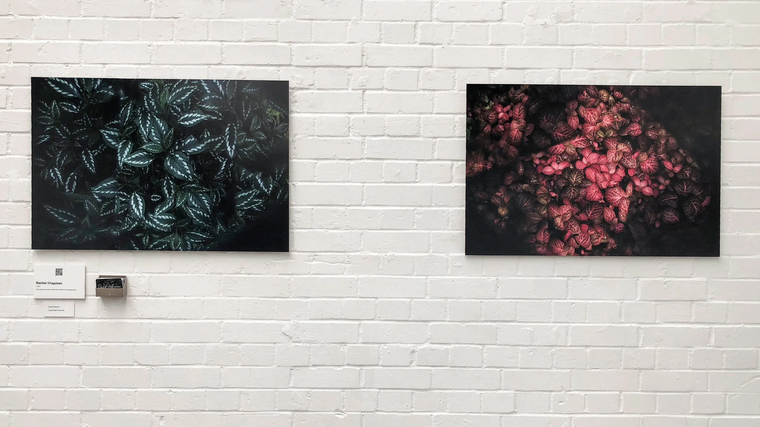 Rachel Chapman