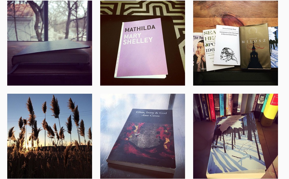 (A collection of images by Karen Schoemer during residency)
