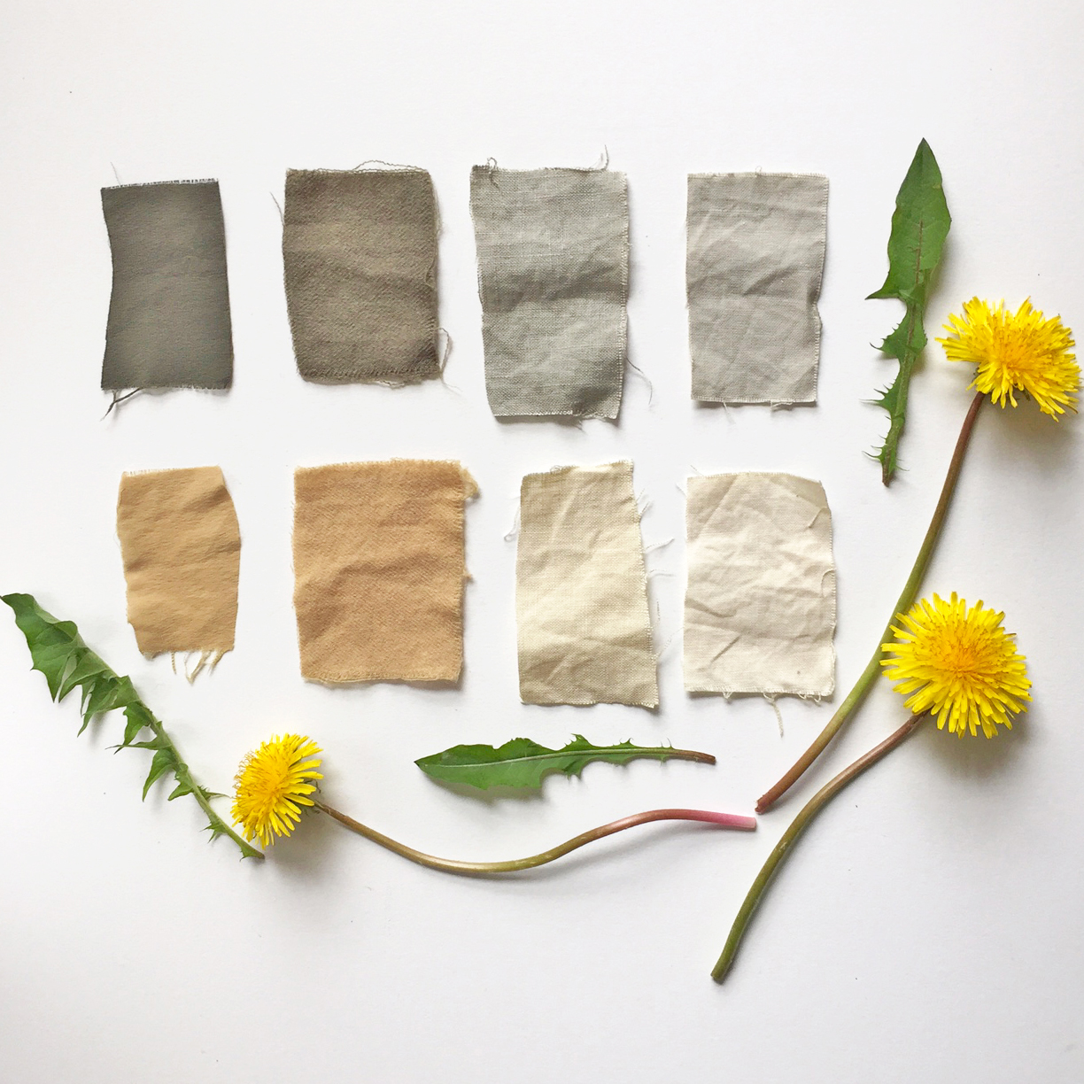 Medicinal Dye Plants: Natural Dyes + Remedy Making — Instar