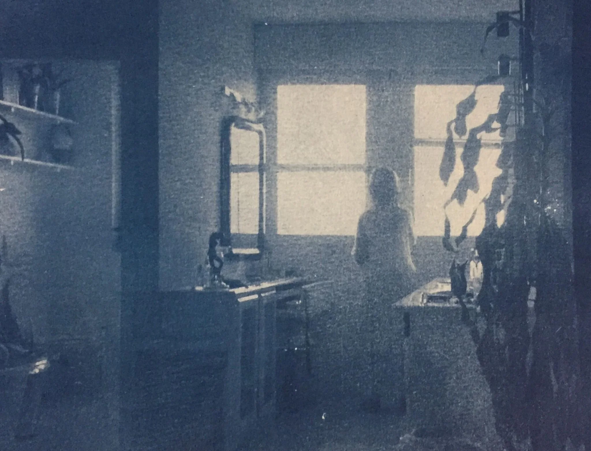Joan Prepping for a Summer Party, Switzerland. Cyanotype, 2018.