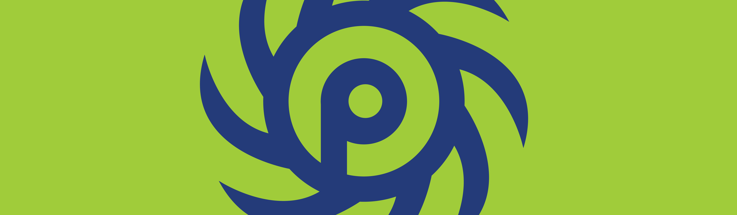 ron projects-03.png