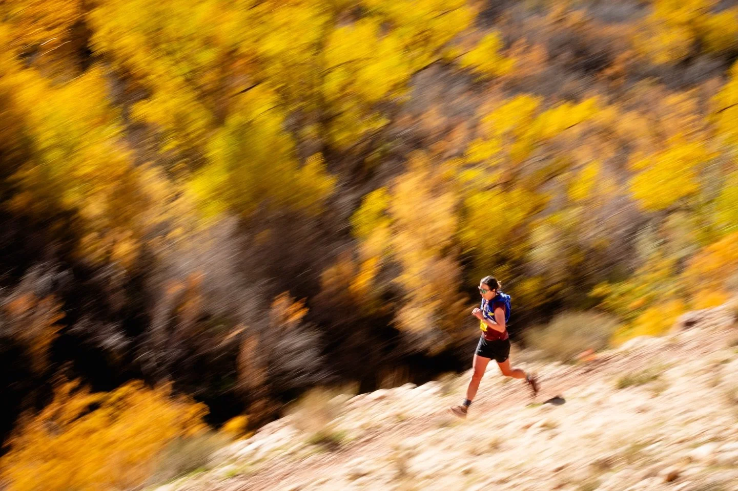 Just got back from a quick rip to Moab to watch @mountain_taco race the Moab Trail 1/2 marathon. I&rsquo;m so proud of all of her hard work preparing for this race and I&rsquo;m blown away by her resilience and consistency, not only in her training, 