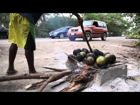 Largeup - Miss Lily's