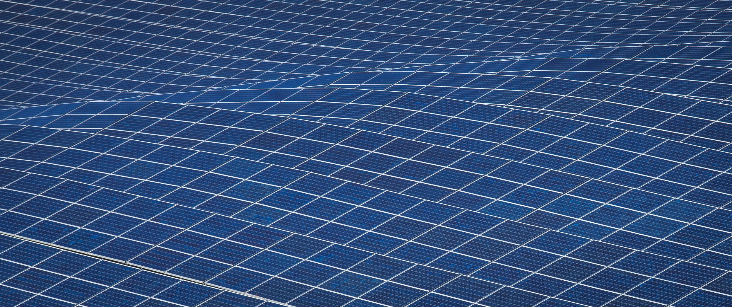 Sexy Sustainability Part I