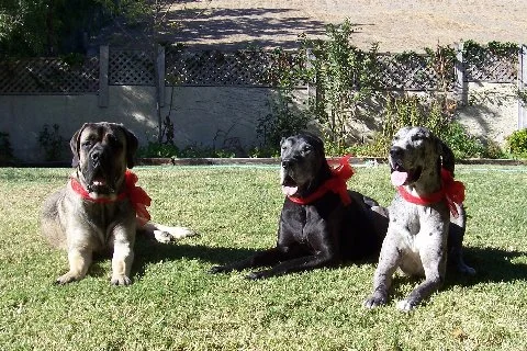 zeus_and_friends.jpg