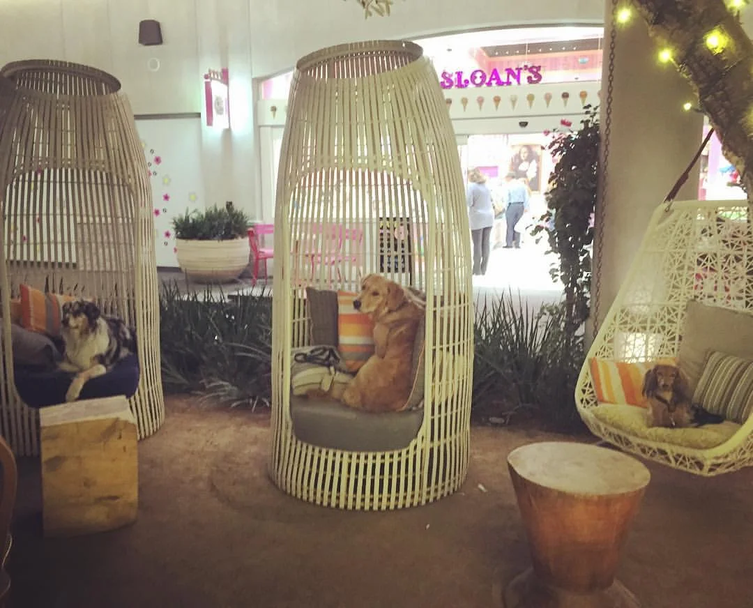 mbfo village lounging.jpeg