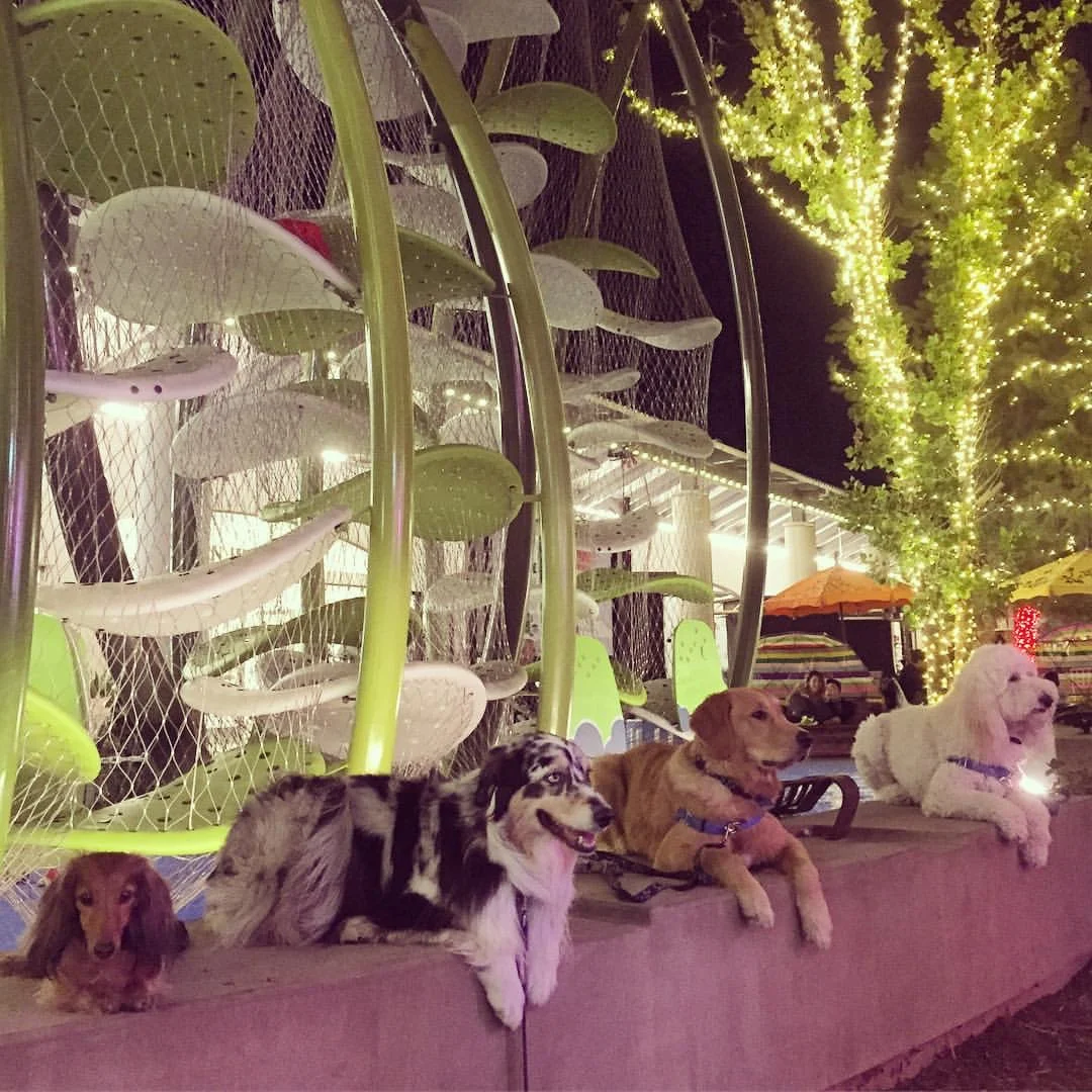 mbfo village fountain.jpeg