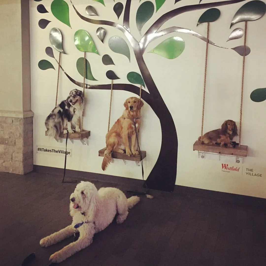 mbfo swings village.jpeg