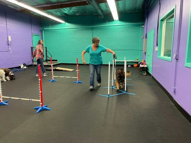 agility paw output_image1675809050234 (002).jpg