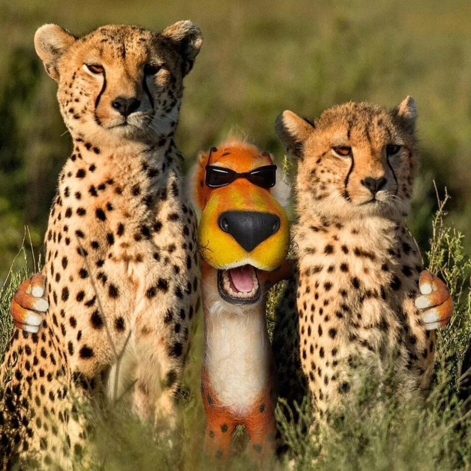 cheetos_portfolio.jpg
