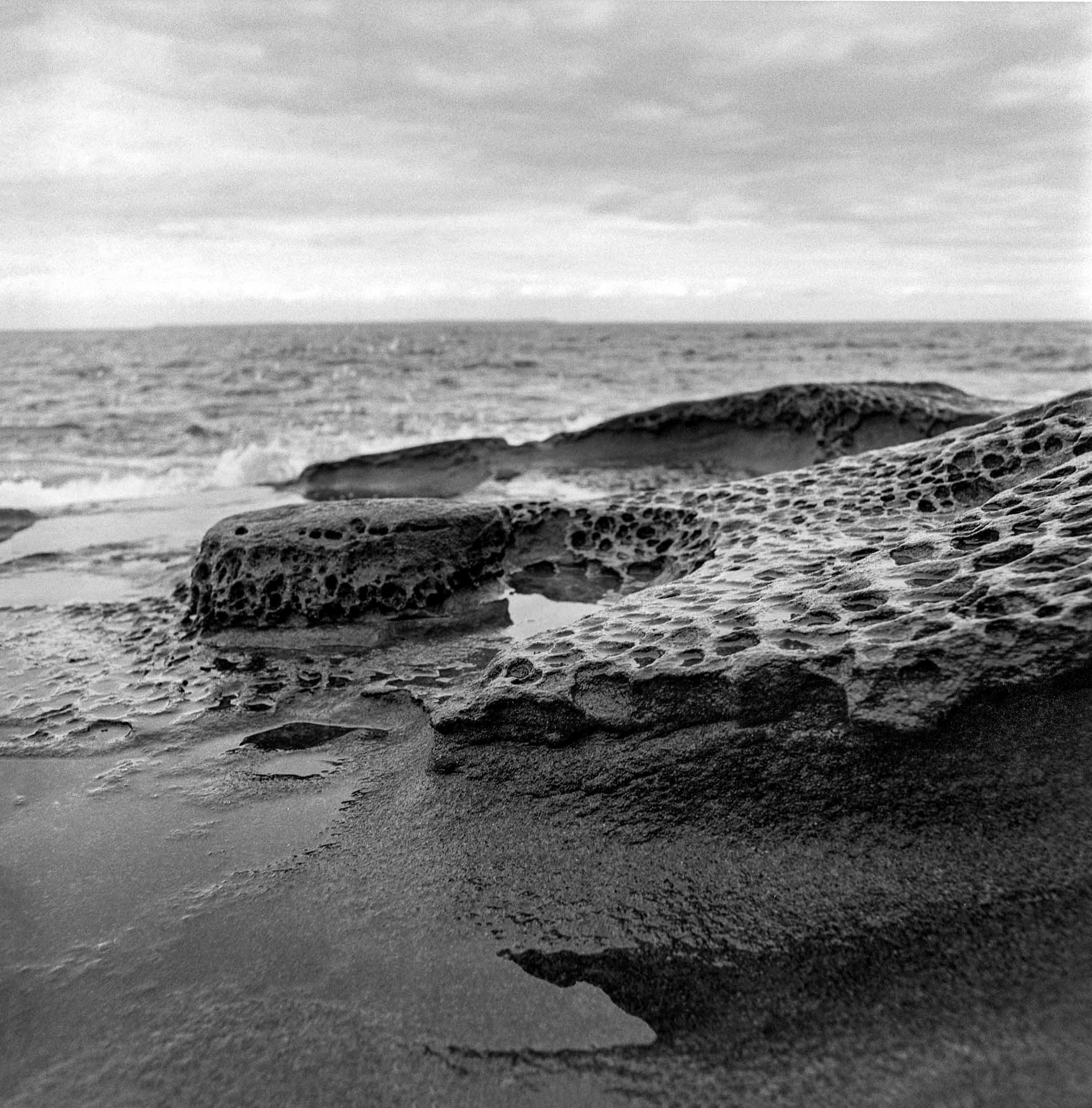 Mayne Island, BC Sandstone.jpg