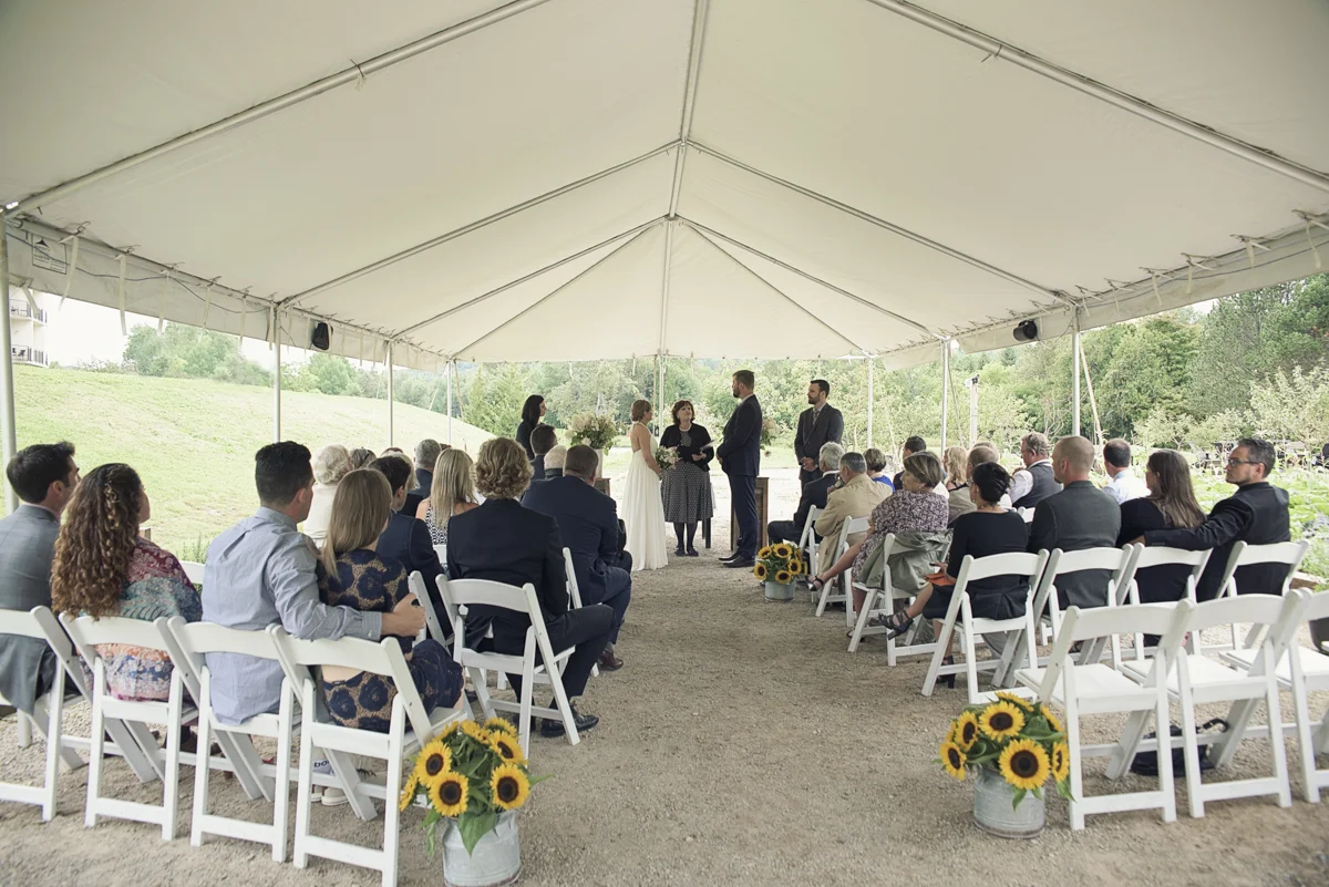 Image-11.jpg
