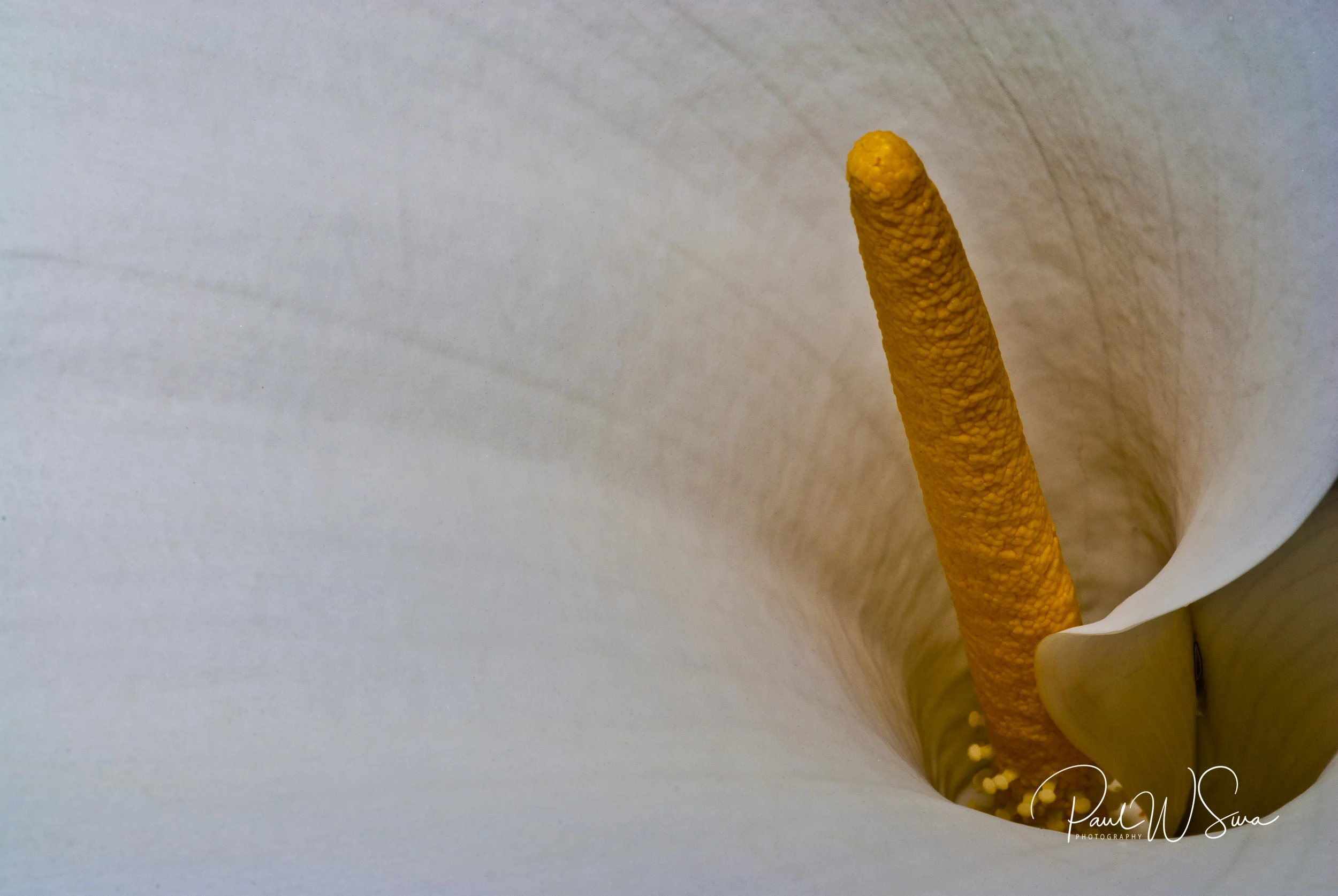 20100406-_PWS0022.jpg