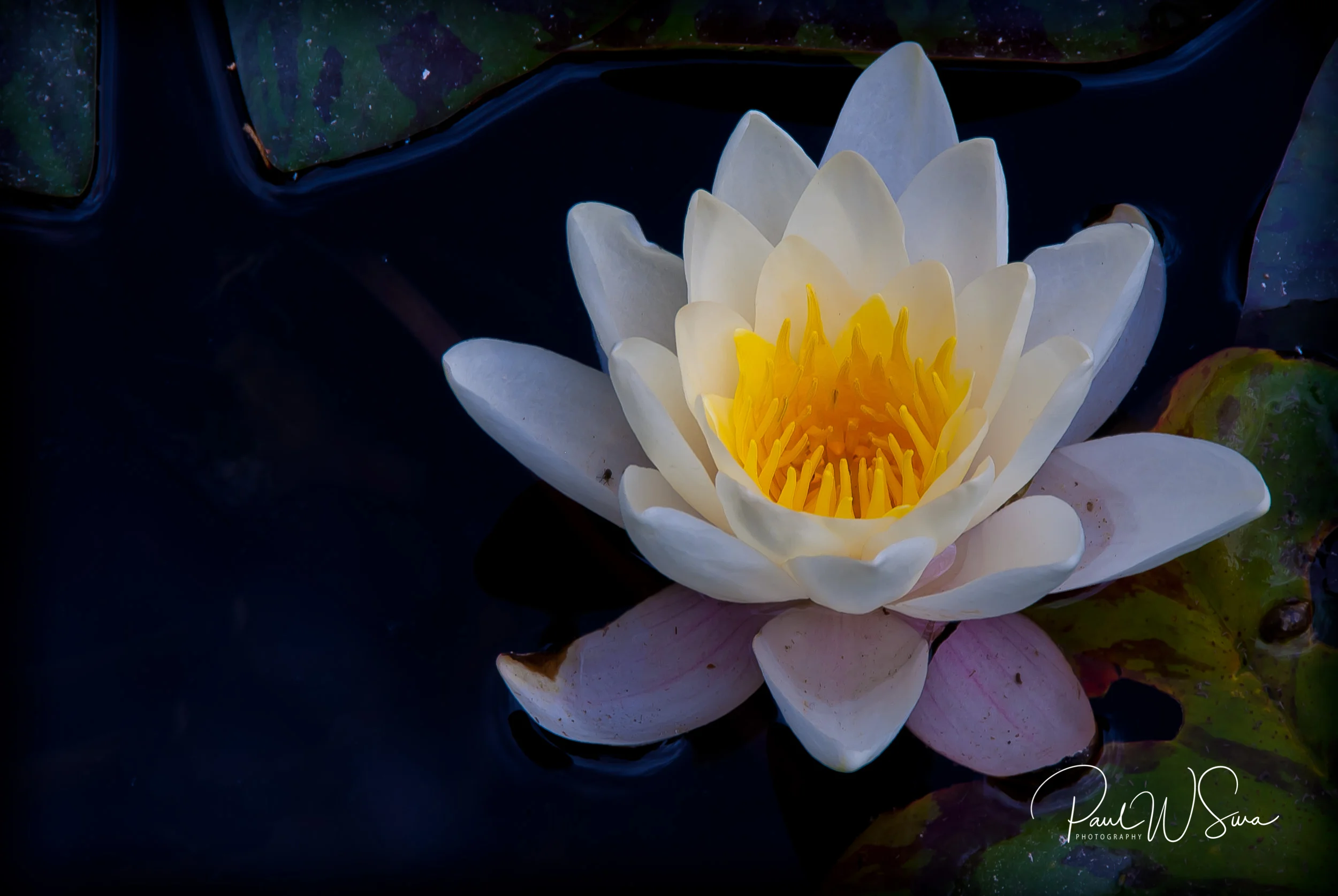 20120627-_PWS0216.jpg