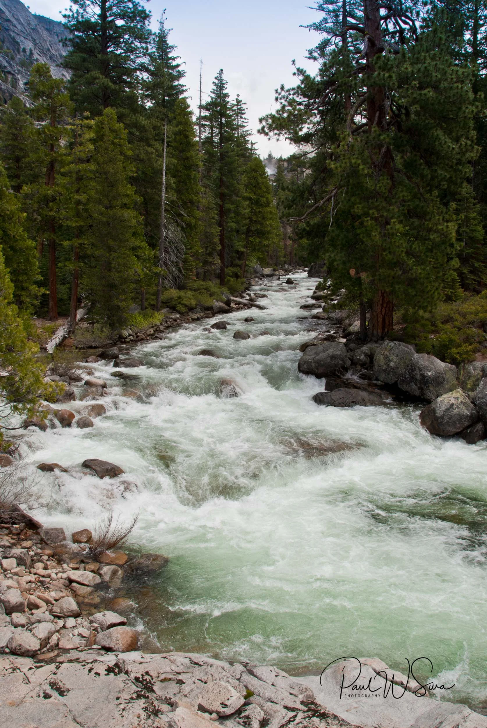 20090615-_PWS0018.jpg