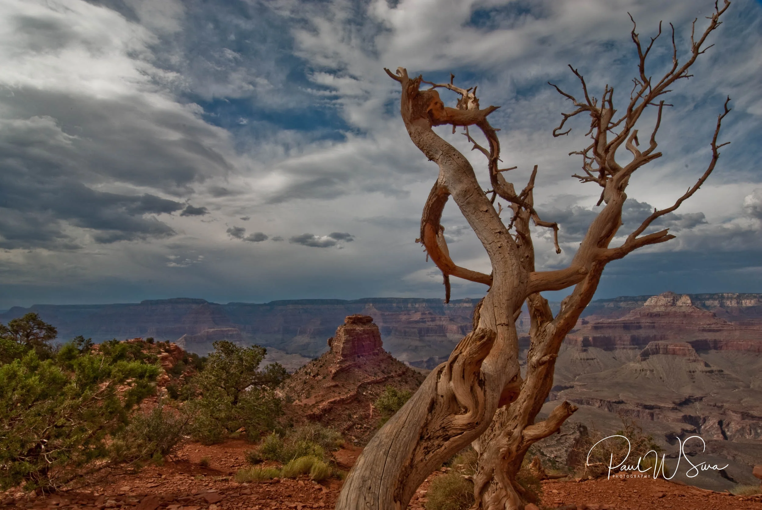 20090719-_PWS0201.jpg