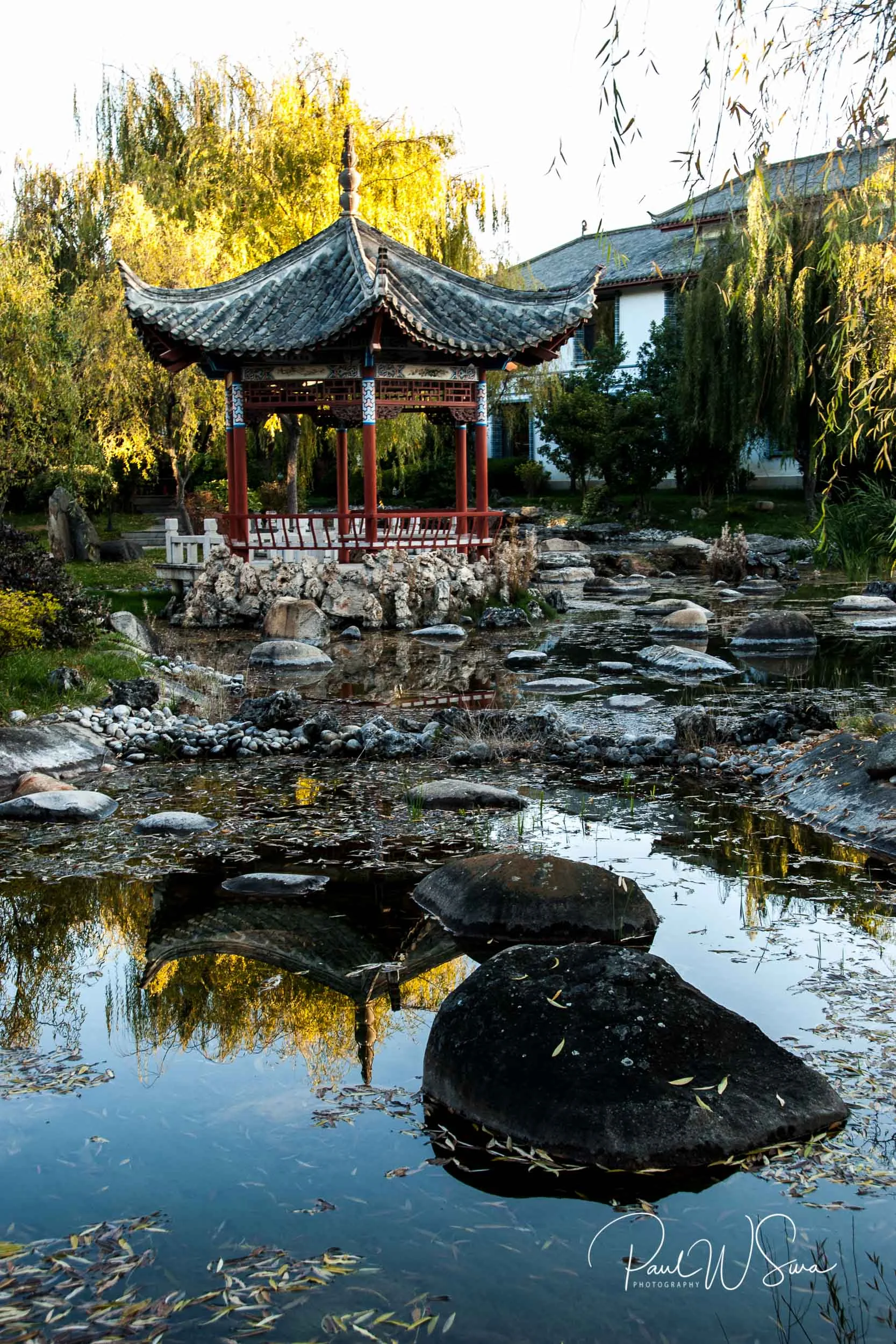 20121110-_PWS0142.jpg
