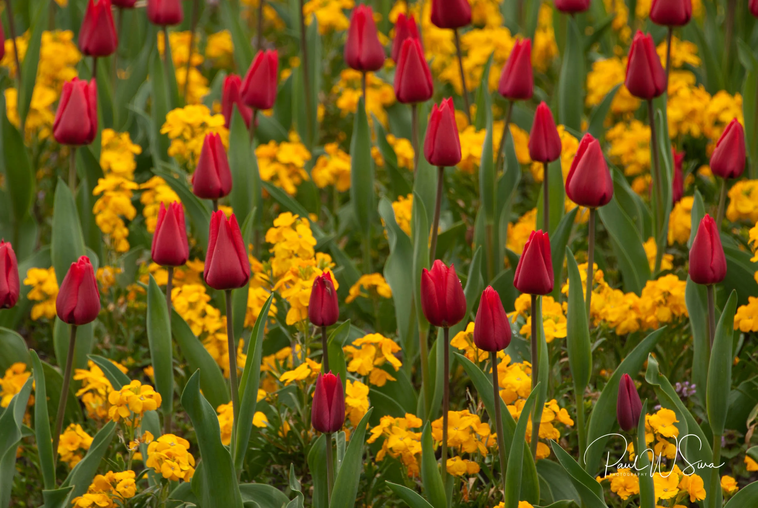 20140412-_PWS0214.jpg