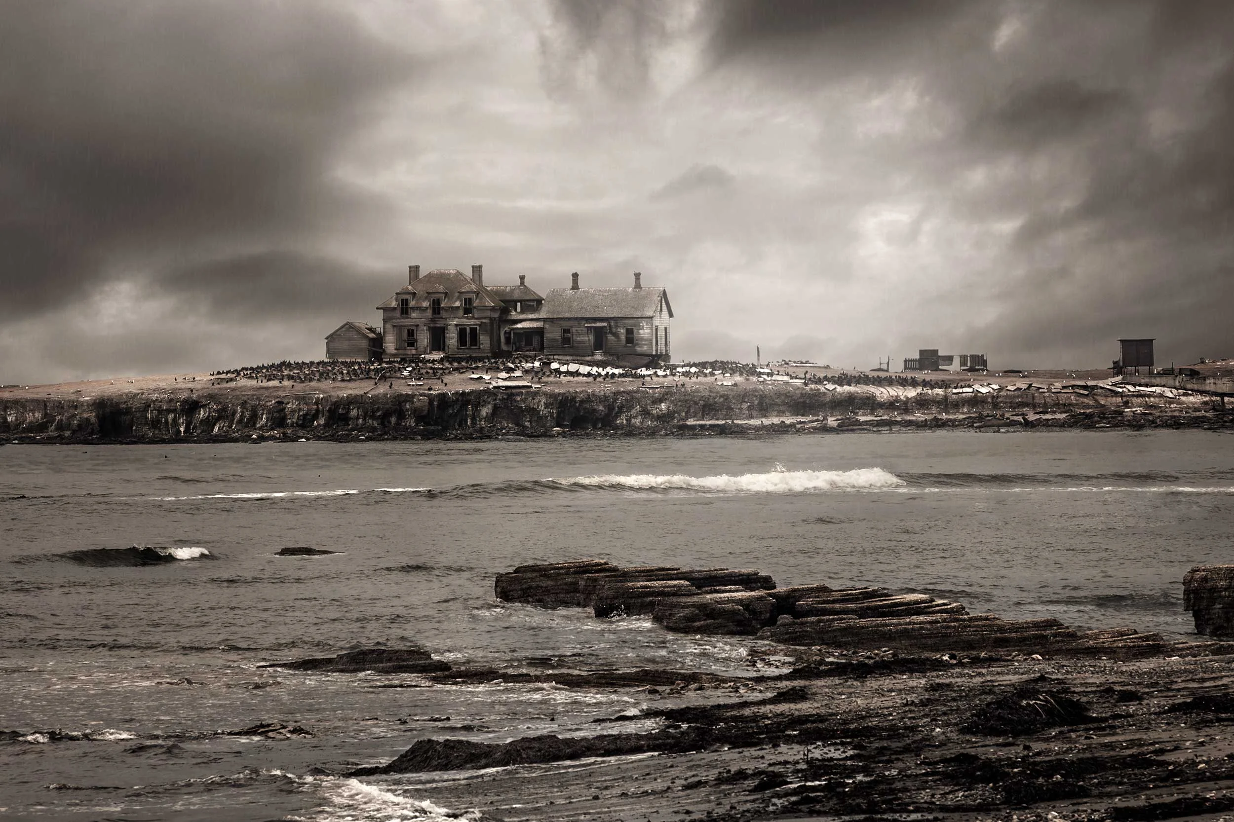 usa-ano-nuevo-island-001.jpg