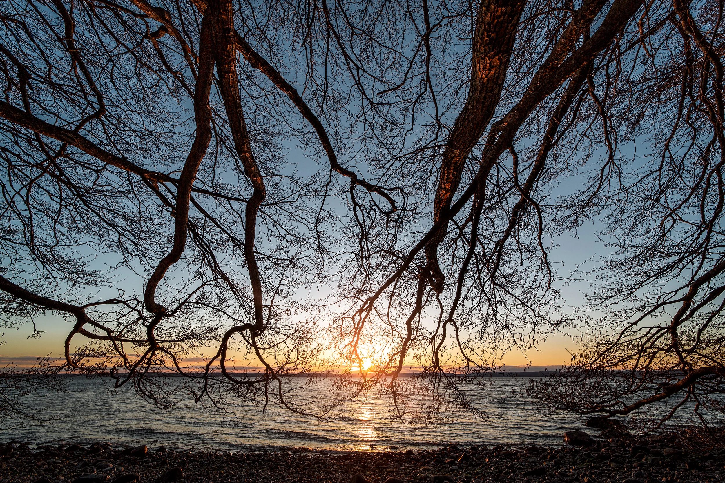Jeløya