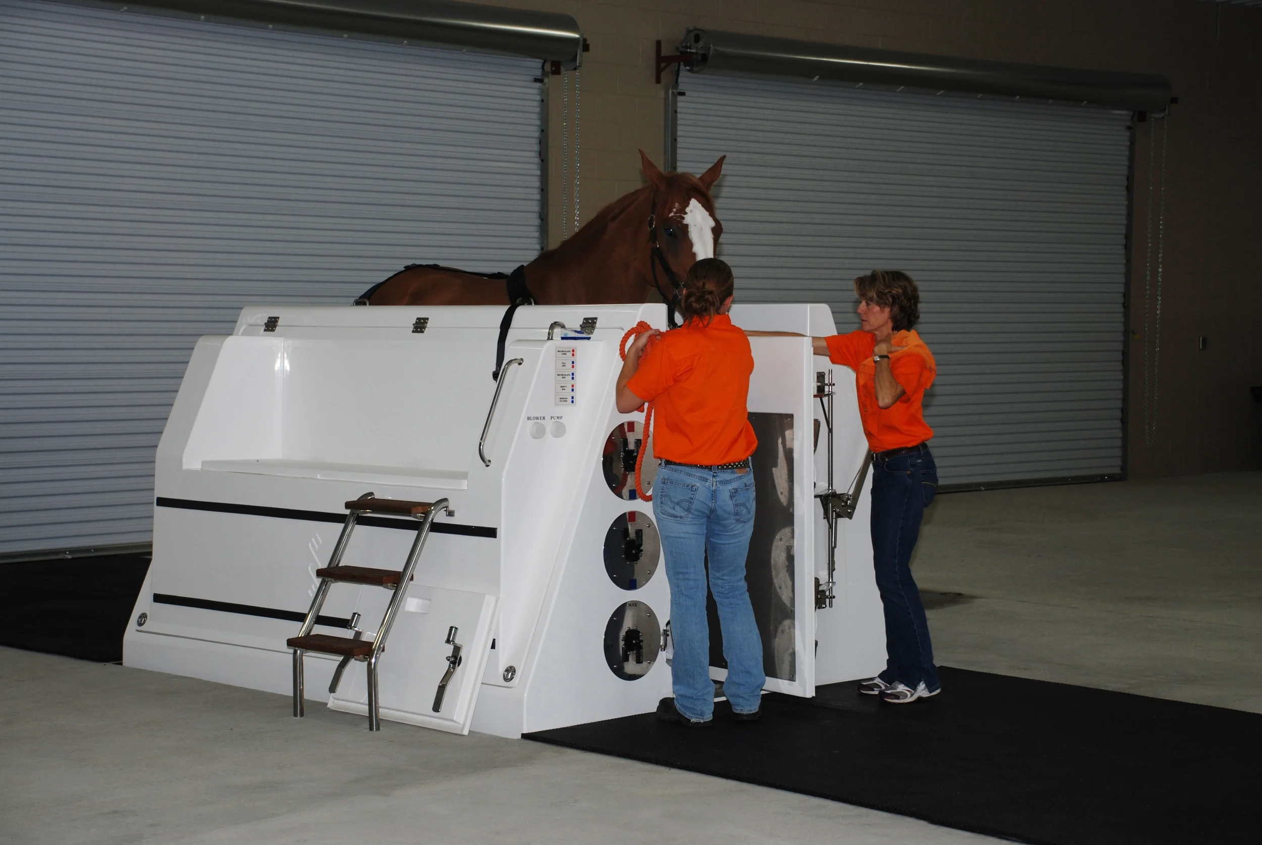 A horse being treated in the ECB Equine Spa at The Sanctuary