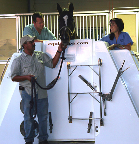 Enrique Ramirez holds Bubba, owned by Dr. Robert & Debbie Ball. Dr. Blevins and Danielle Watson monitor Bubba’s first treatment in the newly installed spa.