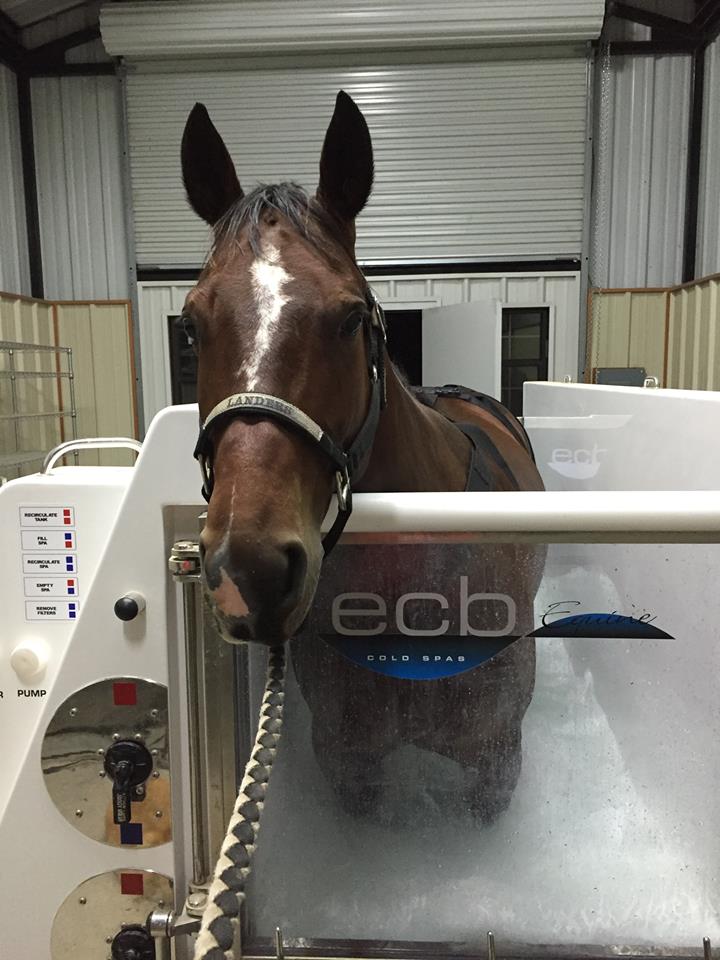 Sweet Lil Sylvia (aka Sweet Pea) in the spa at Laura Landers' Rancho Estrellita