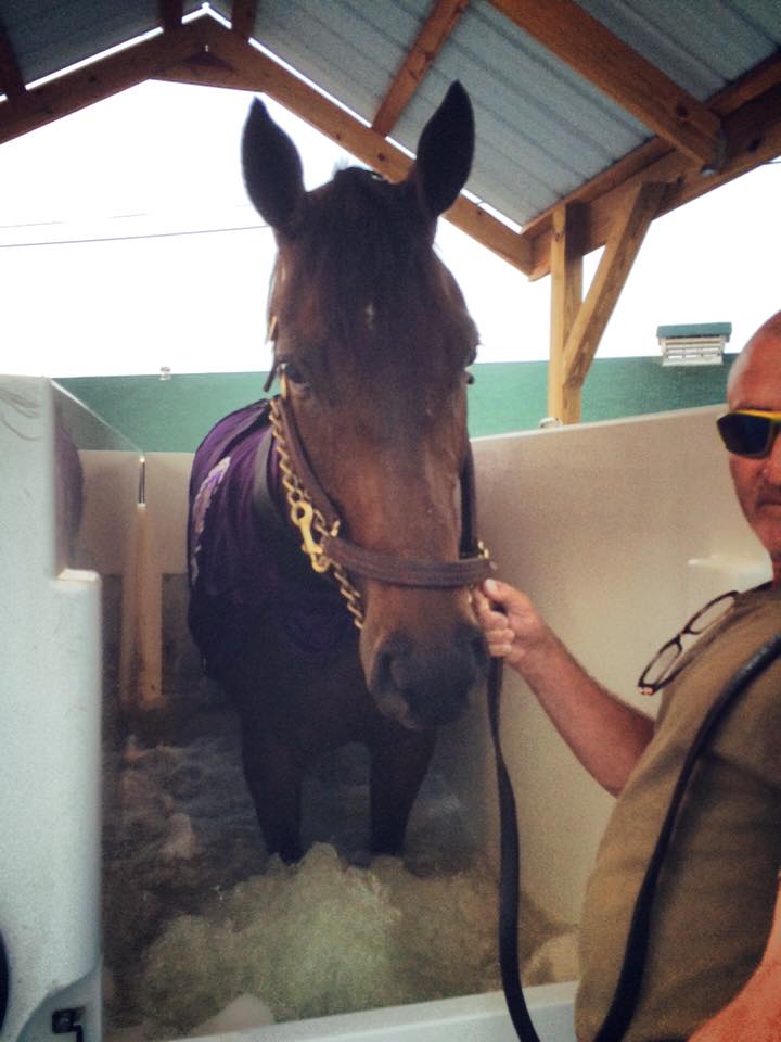 Tepin in the ECB Spa at Equizone Hydrotherapy