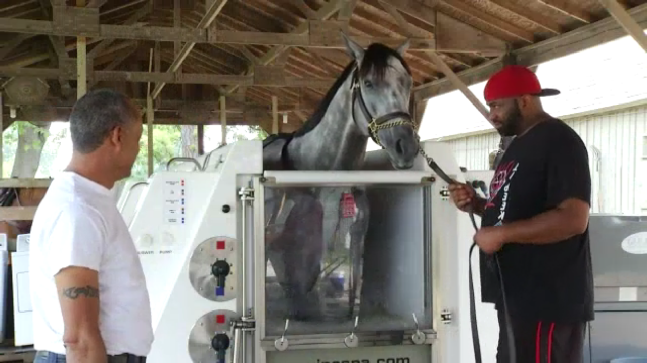 Destin in the ECB Spa at Todd Pletcher's Barn
