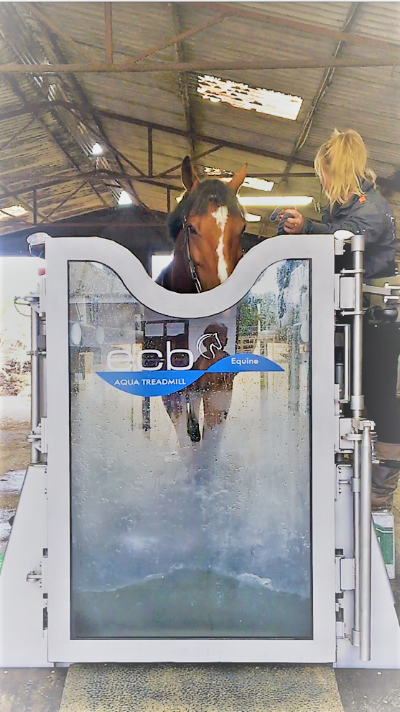 ECB aqua treadmill install at dressage riders Anders Dahl & Fiona Bigwood