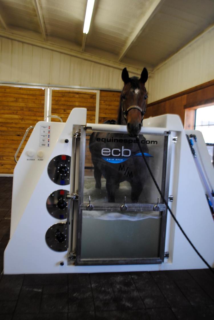 M/M Equine Spa and Rehab Center