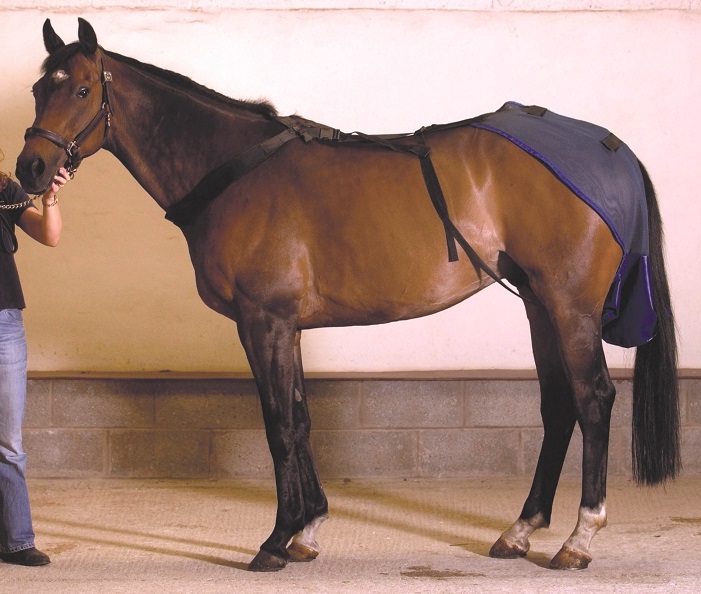 Manure Collection Harness