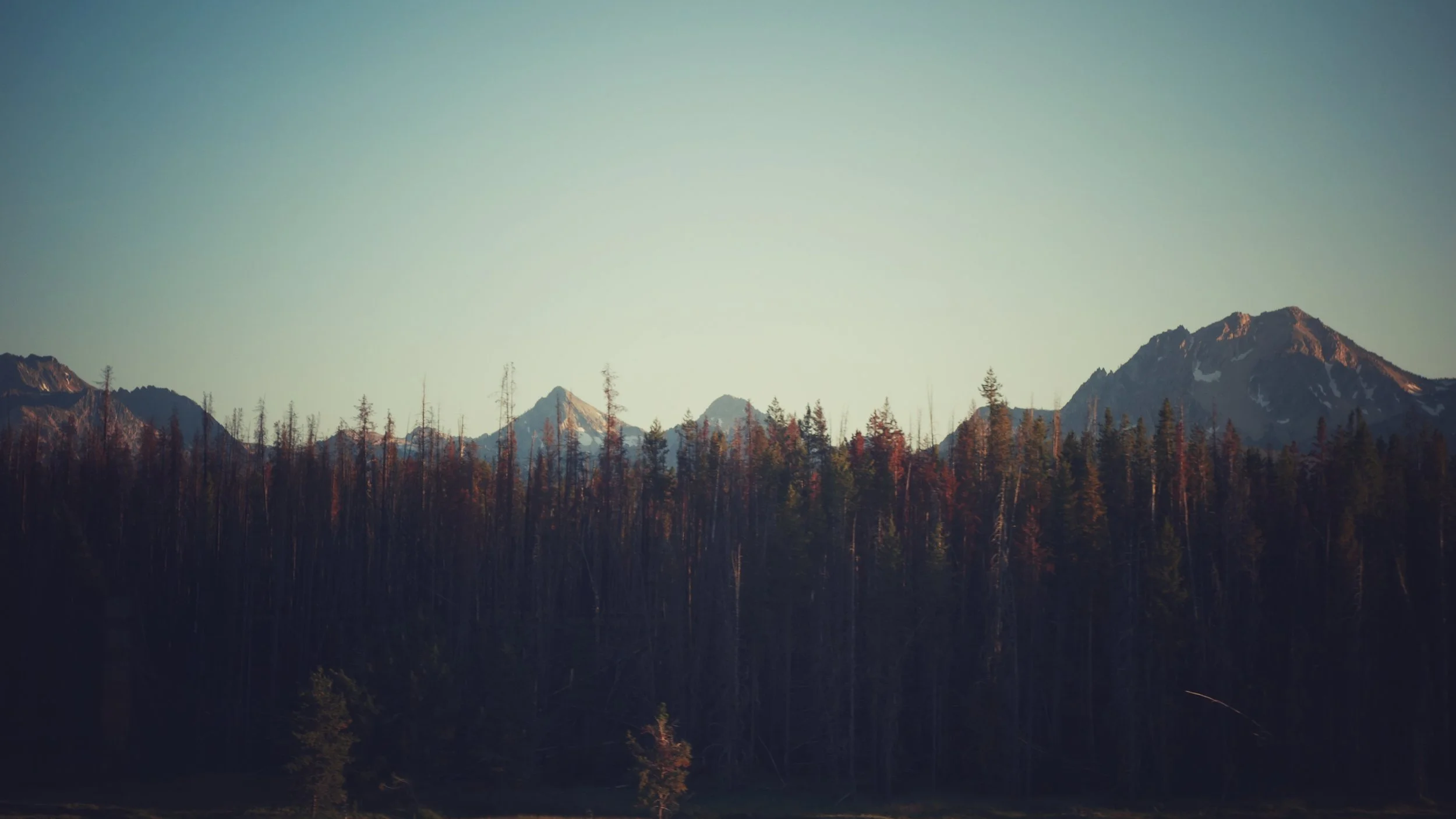 DSC05101-01.jpeg