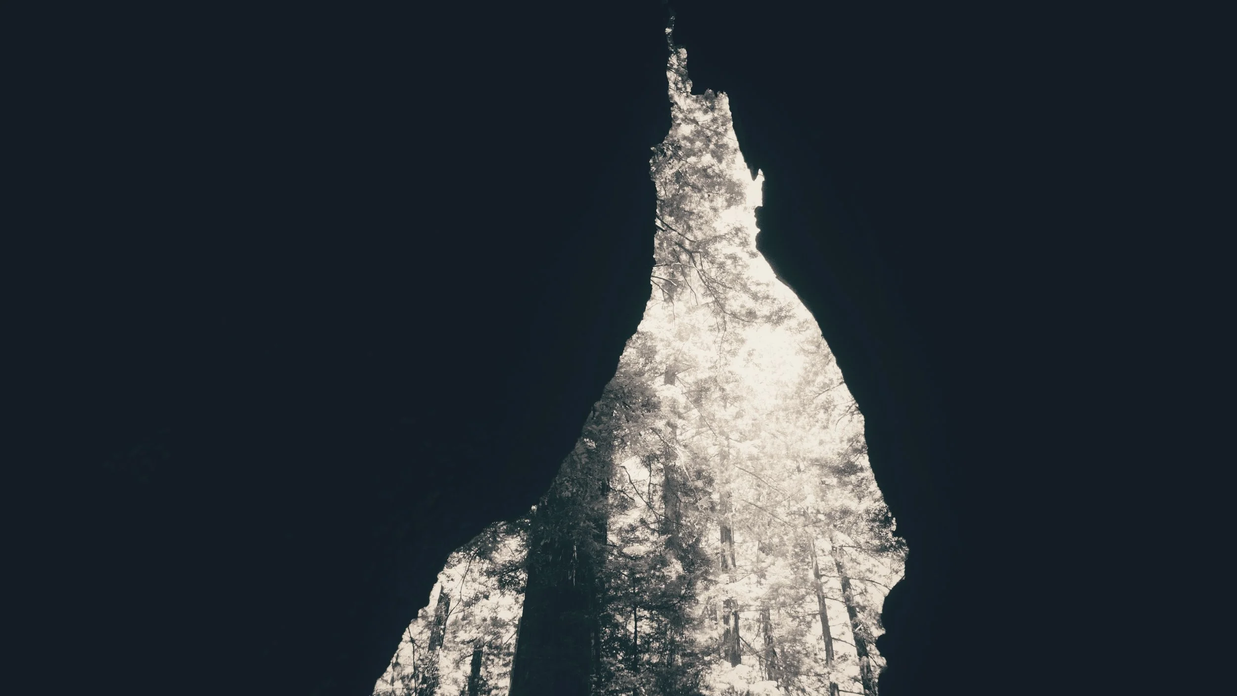 Founders Grove. CA.