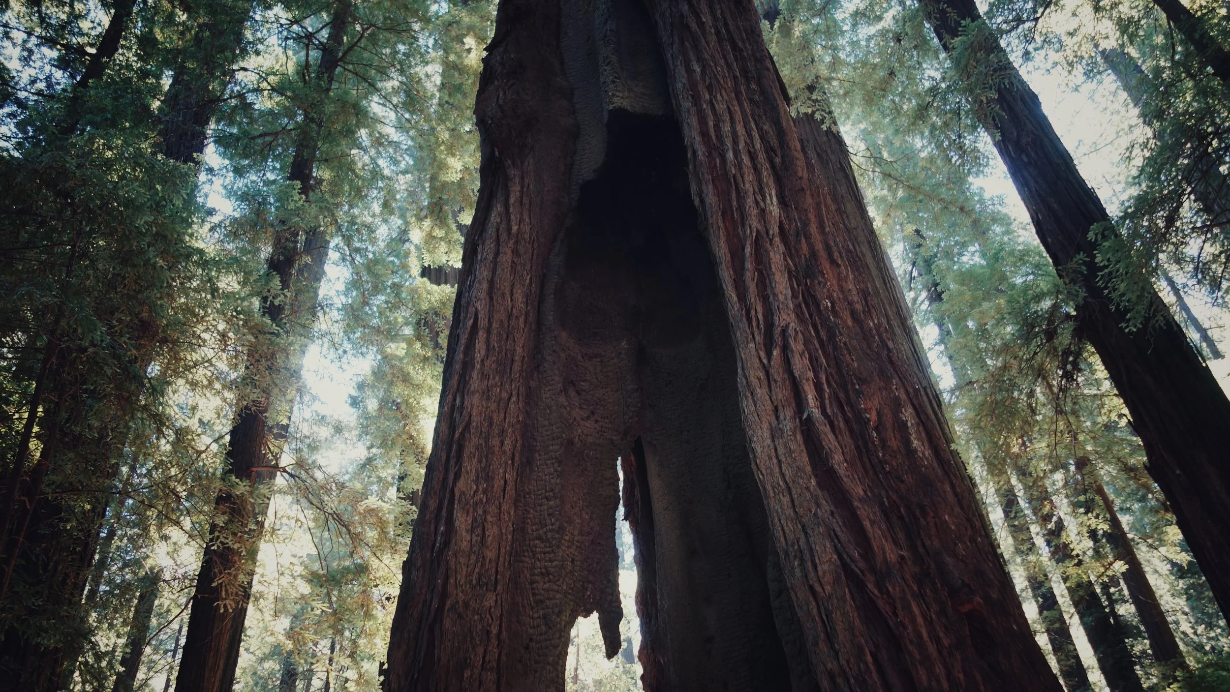 DSC04236-01.jpeg